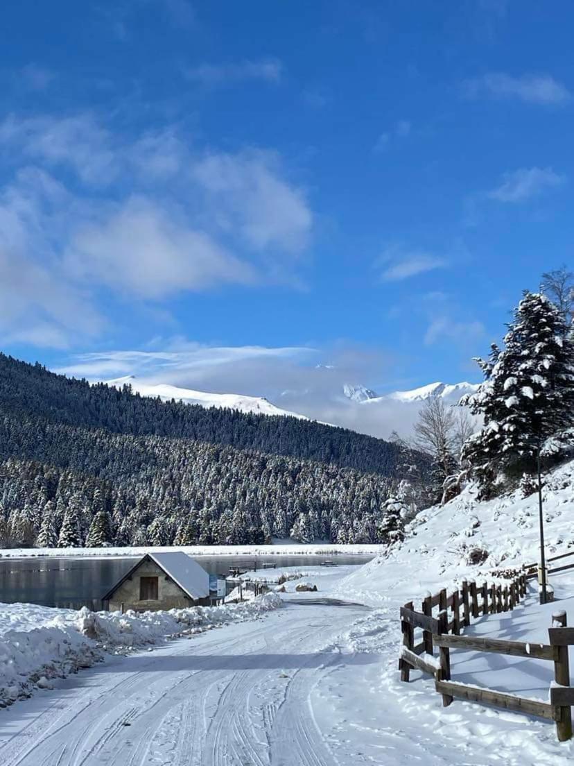 Gite Du Montagnol A Payolle Сент-Мари-де-Кампан Экстерьер фото
