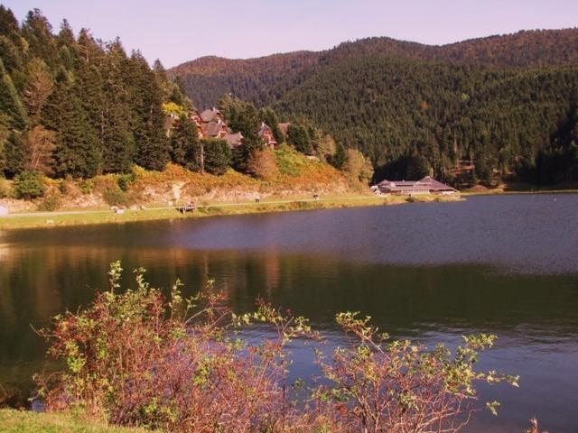 Gite Du Montagnol A Payolle Сент-Мари-де-Кампан Экстерьер фото