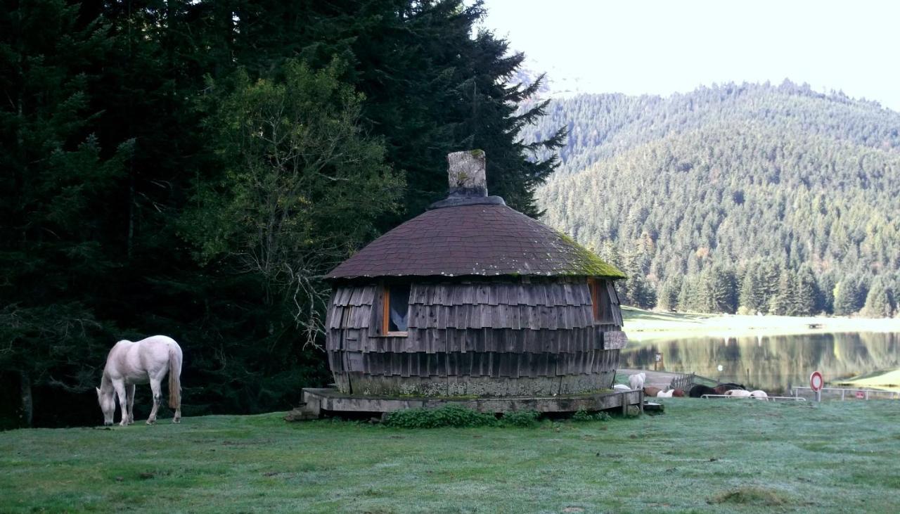 Gite Du Montagnol A Payolle Сент-Мари-де-Кампан Экстерьер фото