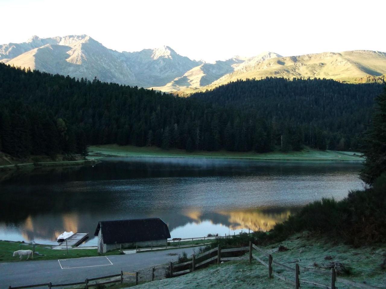 Gite Du Montagnol A Payolle Сент-Мари-де-Кампан Экстерьер фото