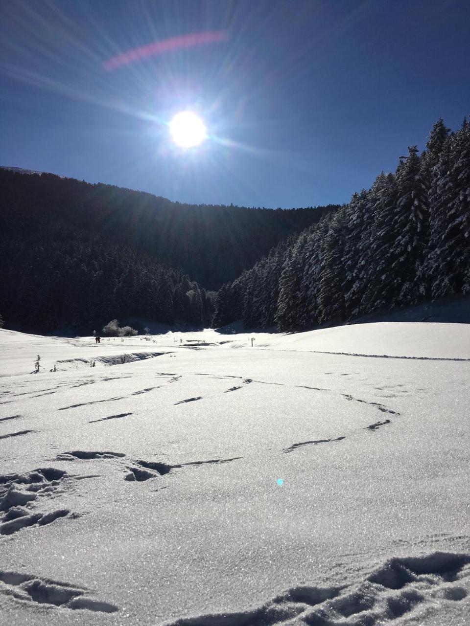 Gite Du Montagnol A Payolle Сент-Мари-де-Кампан Экстерьер фото