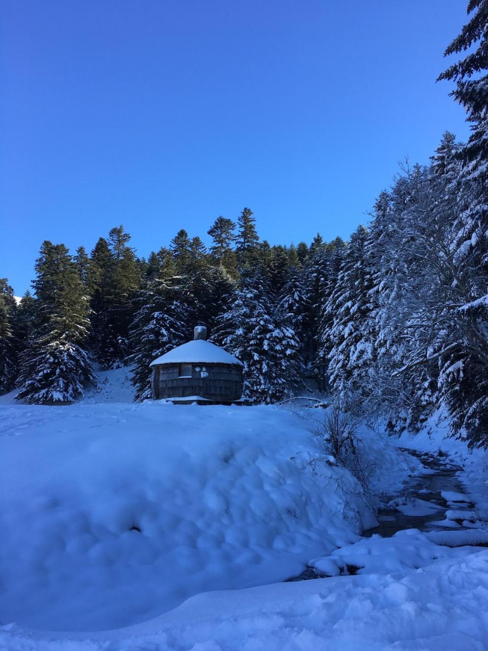Gite Du Montagnol A Payolle Сент-Мари-де-Кампан Экстерьер фото